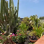 Burgao Playa Blanca (Lanzarote)